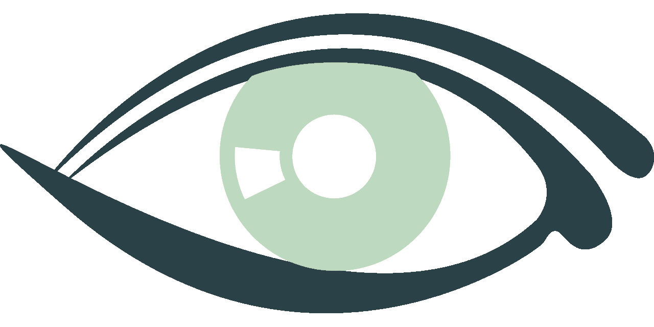 Logo of eye with darker outline and lighter pupil.