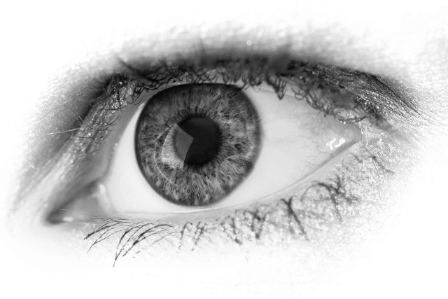 A close up of a greyscale eye with a grey pupil.